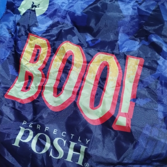 Perfectly posh reusable fold up shopping bag Halloween tote limited edition - Picture 4 of 7